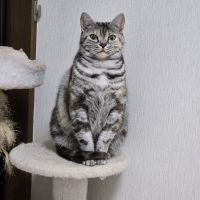 かずくんと小梅さんさん