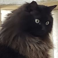 ダメガネROCK 会員画像