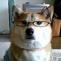 おはぎの父 会員画像