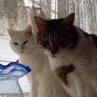 takochan 会員画像