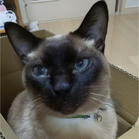 れん625 会員画像