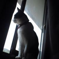 まさ1015 会員画像