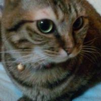 まぁ155 会員画像