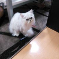 ののののの 会員画像