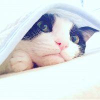 nicccoさん