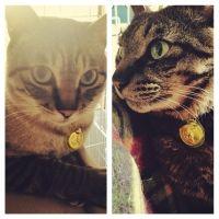 なおぷー 会員画像