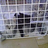 やまき 会員画像