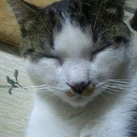 会員画像