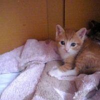 たっくん 会員画像