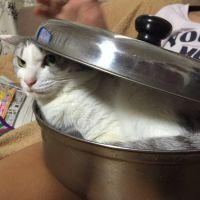 むちゃちゃ 会員画像