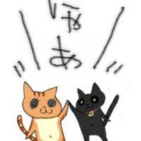 しゃけまま 会員画像