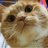 Qちゃん 会員画像