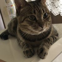 会員画像