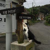 会員画像
