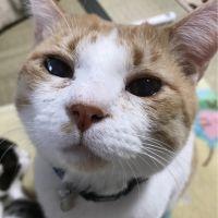 ソラくん。 会員画像