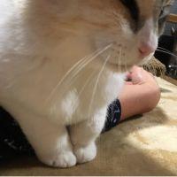 チェリー924 会員画像