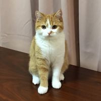 りこさわえな 会員画像