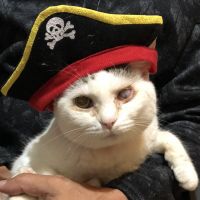 Pongさん 会員画像