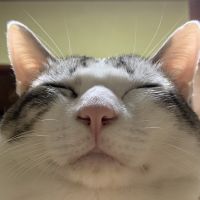 こまつん 会員画像