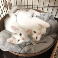 ナヅ 会員画像