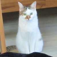 みゅーにゃおさん