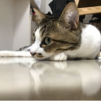 会員画像