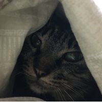 会員画像
