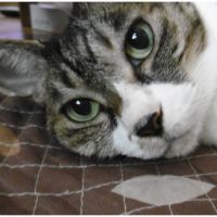 さむこ 会員画像