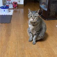 会員画像