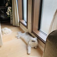 会員画像