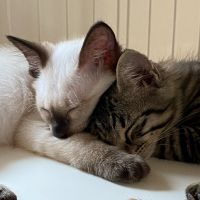 かずろろ 会員画像