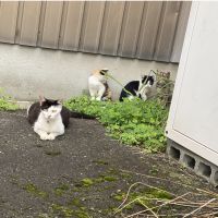 ぽみみさん