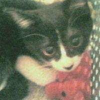 meichan 会員画像