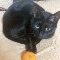 えりっ 会員画像