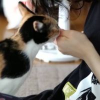 Saitofarm 会員画像