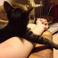 やまぴ 会員画像