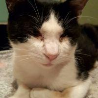 にゃんくー 会員画像