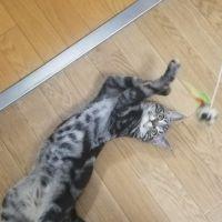 すとるず 会員画像