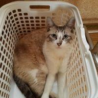 白いパンダ 会員画像