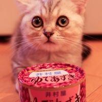 めぐあずき 会員画像