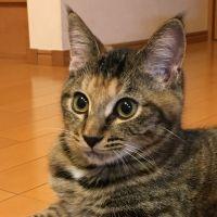 おしまさ 会員画像