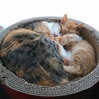 jijisan 会員画像