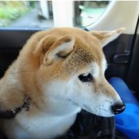 会員画像