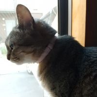 会員画像
