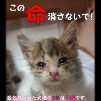 会員画像