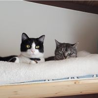 きのこたろう 会員画像