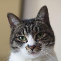 いちくんまるくん 会員画像