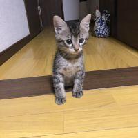 会員画像