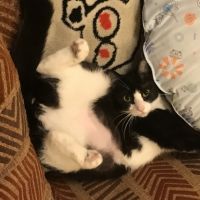 ぴろぴろりんりん 会員画像