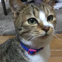もこもこるん 会員画像